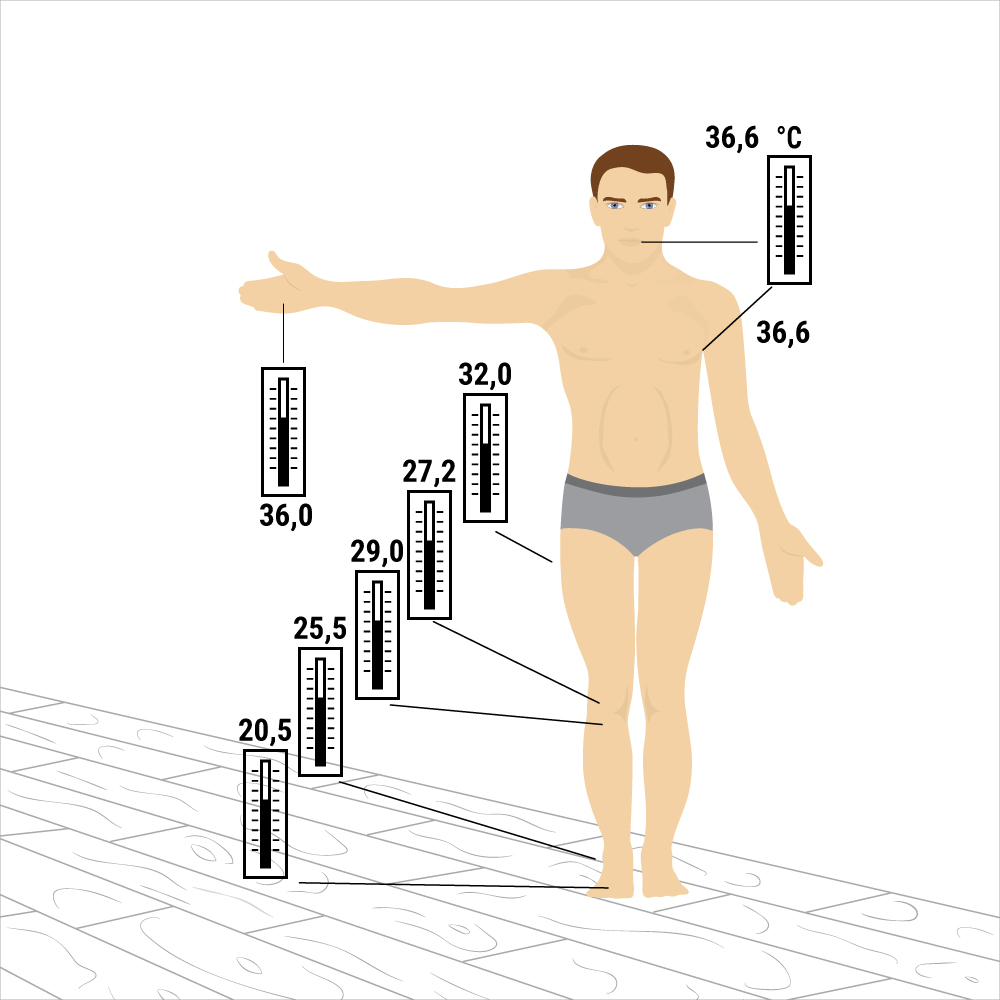 температура частей тела человека