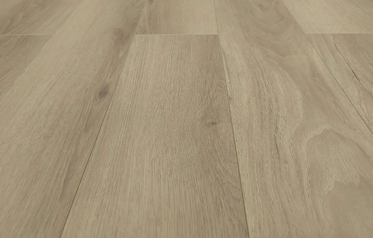 Дуб Райдер